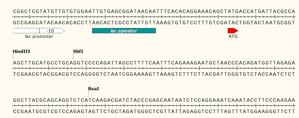 pbi121载体质粒图谱,序列,价格,抗性,测序引物,大小等基本信息_生物风